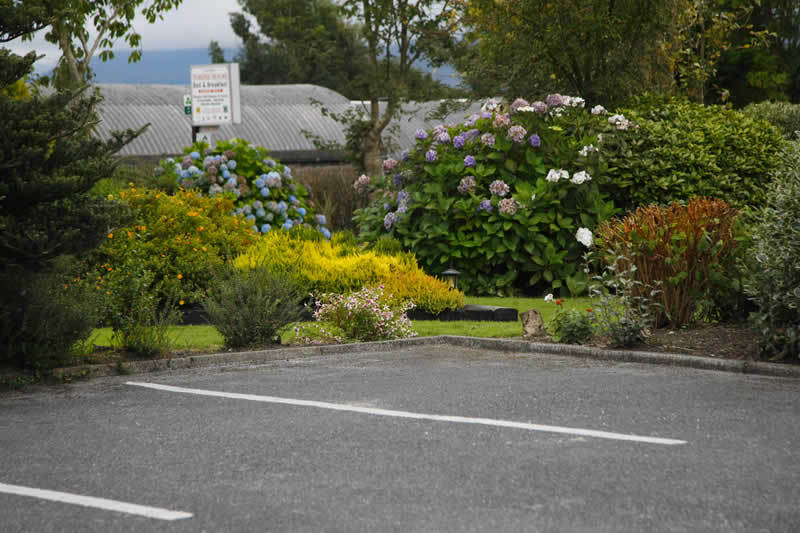 Torine House B&B Killorglin Extérieur photo